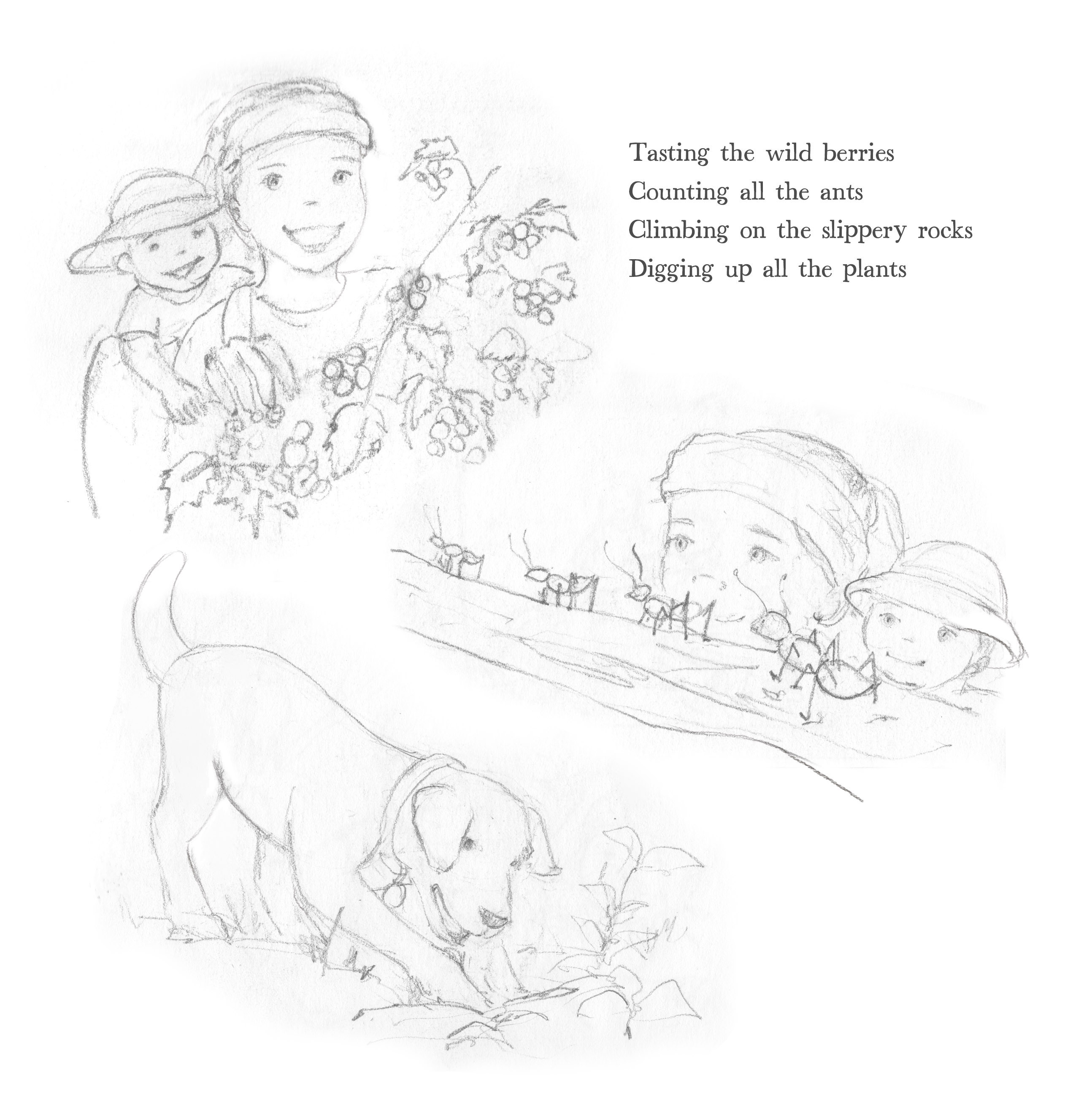Rough pencil sketch of a berry-picking scene from 'Walk in the Woods'.